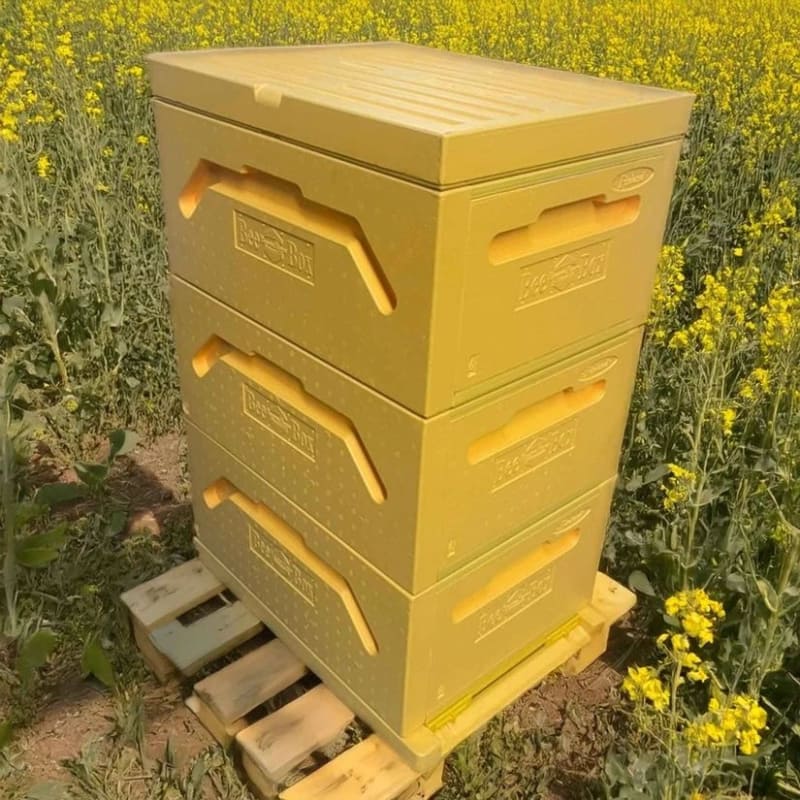 Paradise Honey Hives (Ready to Go) Painted and Assembled - 9 Frame Polystyrene Langstroth Hive with 3 Full Deep Bodies/Supers/Boxes