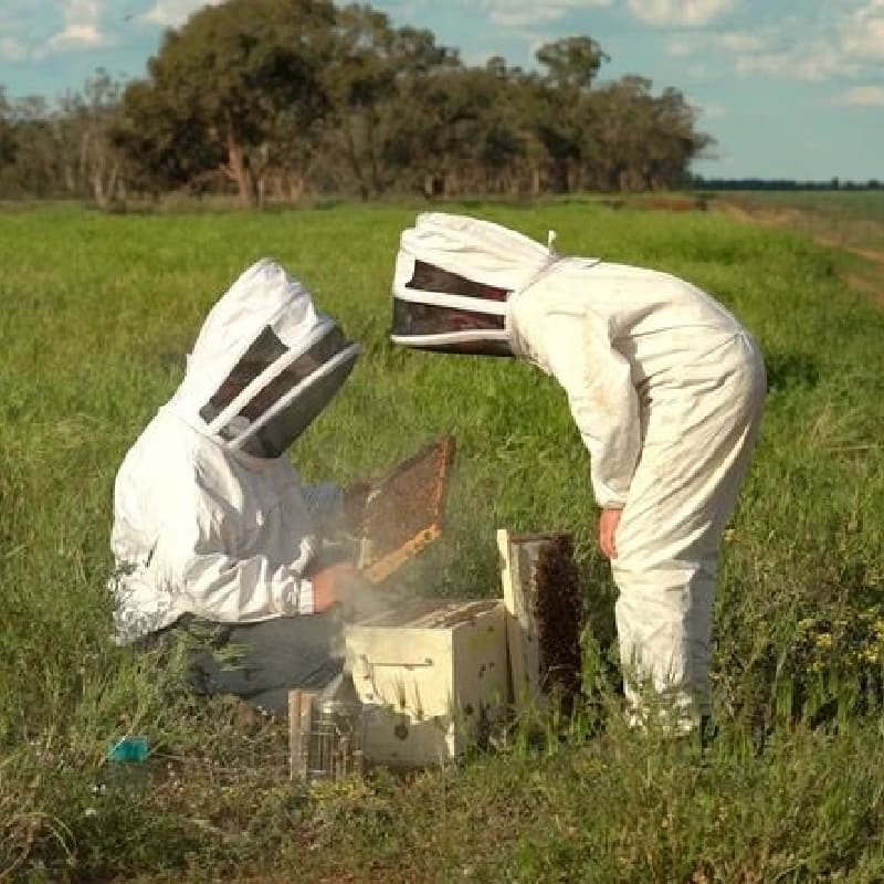 Mens Bee Suit with Folding Hood - (White) - NZ made