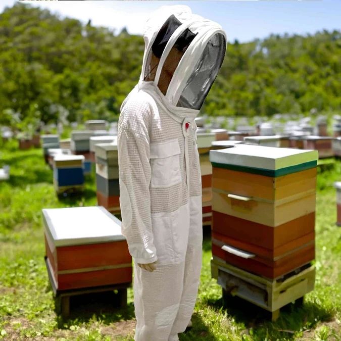 Basic PLUS 8 Frame Langstroth Beekeeping Starter Package