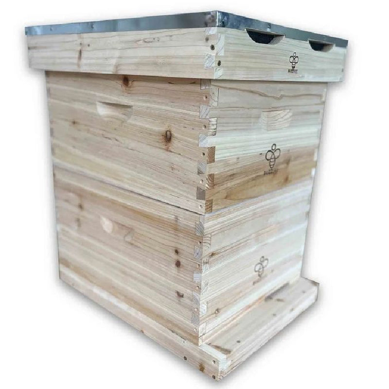 Buzzbee Langstroth Beehive available in 8 or 10 Frames Sizes