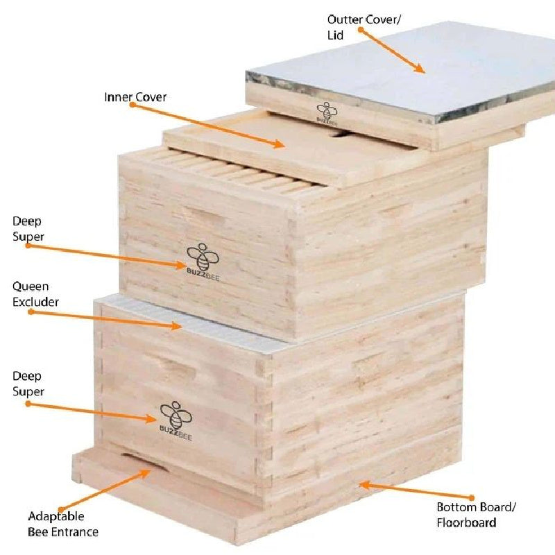 Buzzbee Langstroth Beehive available in 8 or 10 Frames Sizes